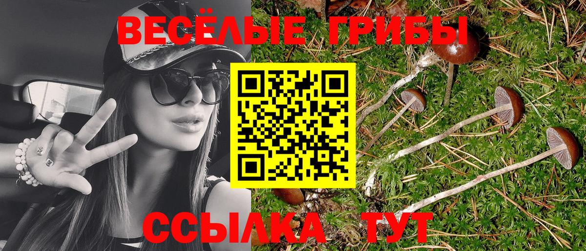 Сарапул  Псилоцибиновые грибы ЛСД  Вход с VPN 